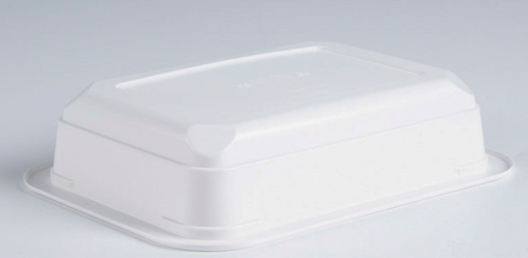 Rectangle Food Tray