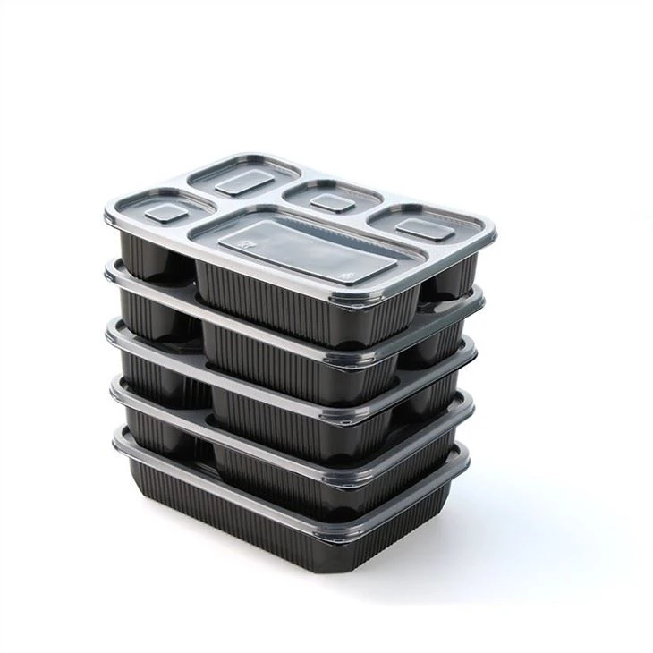 5 Compartment Plastic Bento Lunch To Go Box