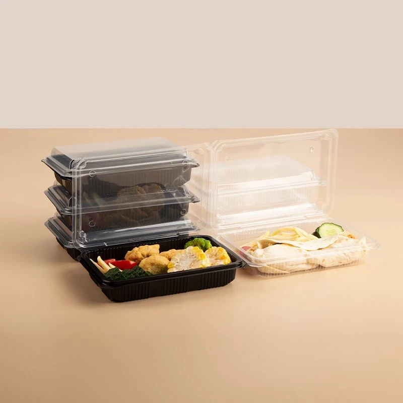 Hersteller von Einweg-Lunchboxen Main mit Deckel Lunchbox, Flip - Deckel Lunc...
