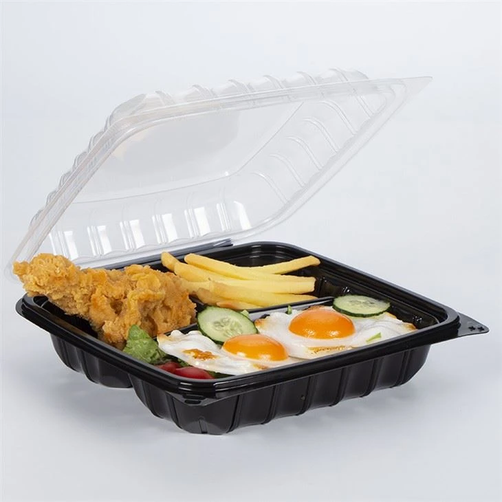 22,9 cm mikrowellengeeignete Lunchbox zum Mitnehmen von heißen Speisen
