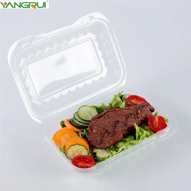 Durchsichtiger Lebensmittelbehälter