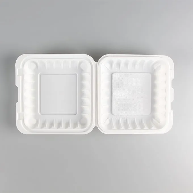 Lunchbox aus Kunststoff