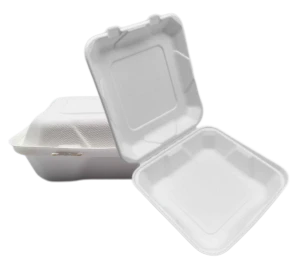 8-Zoll-Bagasse-To-Go-Lebensmittelbehälter