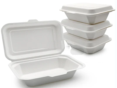 Bagasse To Go-Behälter mit Deckel