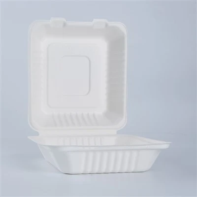 Biologisch abbaubare Einweg-Lunchboxen