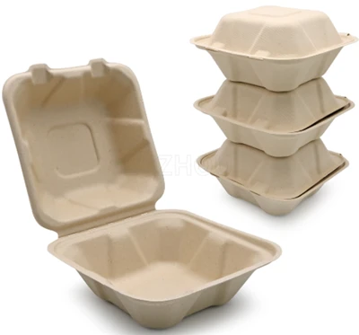 Einweg-Bagasse-To-Go-Behälter
