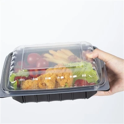 Einweg-Lebensmittelverpackungsbehälter