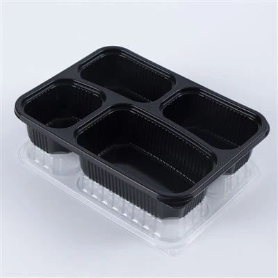 Japanische Einweg-Bento-Box