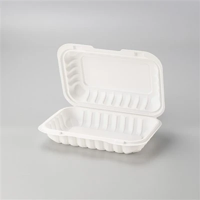 Einweg-Lunchbox aus Kunststoff