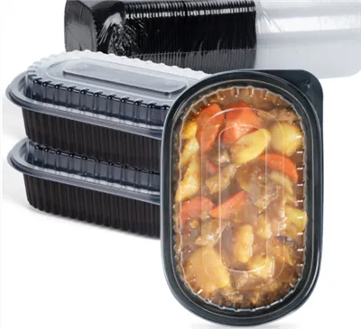 Disposable Take Away Containers