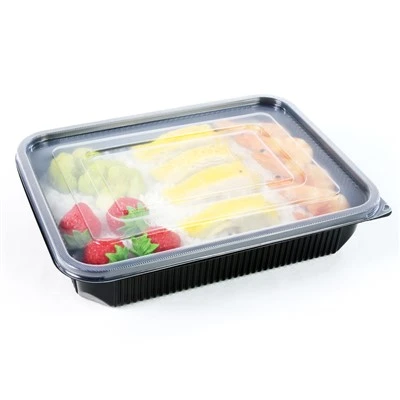 Umweltfreundliche Mahlzeiten zum Mitnehmen: Einweg-Lunchbox-Lösungen für den modernen Lebensstil