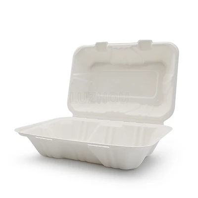 To Go-Behälter Bagasse mit Scharnier
