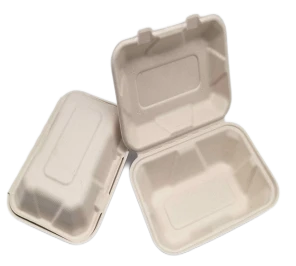 To Go-Behälter Einweg-Bagasse
