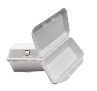 To Go-Behälter Bagasse