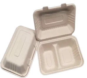 To Go-Behälter mit Deckel Bagasse 2 Fächer
