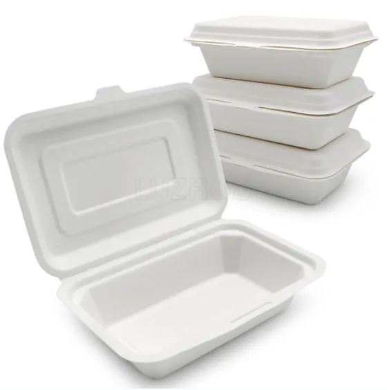 To Go-Behälter mit Deckel, Einweg-Bagasse