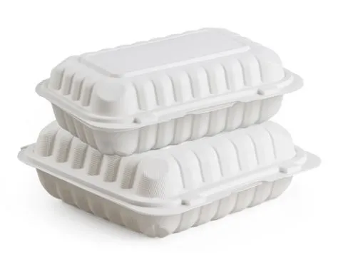 9 x 6 Zoll mikrowellengeeigneter Lebensmittelbehälter