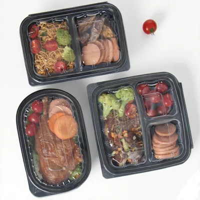 Bento Box Togo Containers
